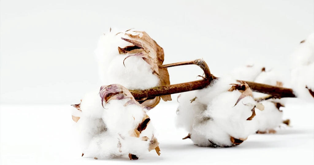 what is organic cotton