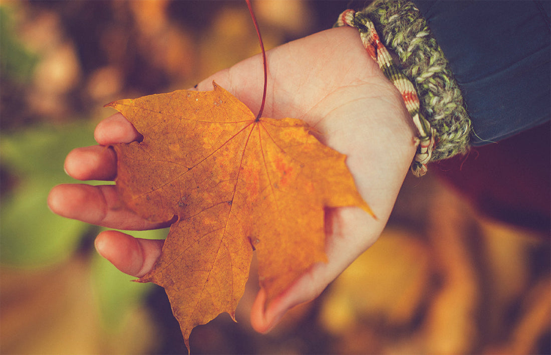The Simplified Autumn Skincare Transition