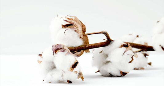 what is organic cotton