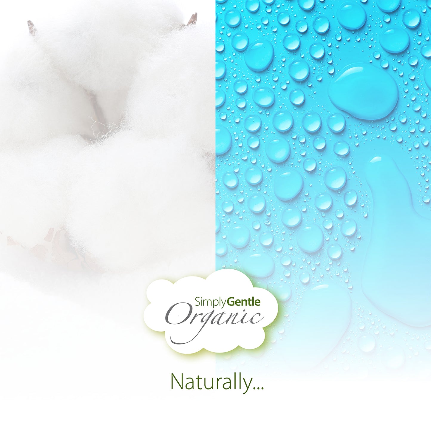 Simply Gentle Organic Baby Water Wipes
