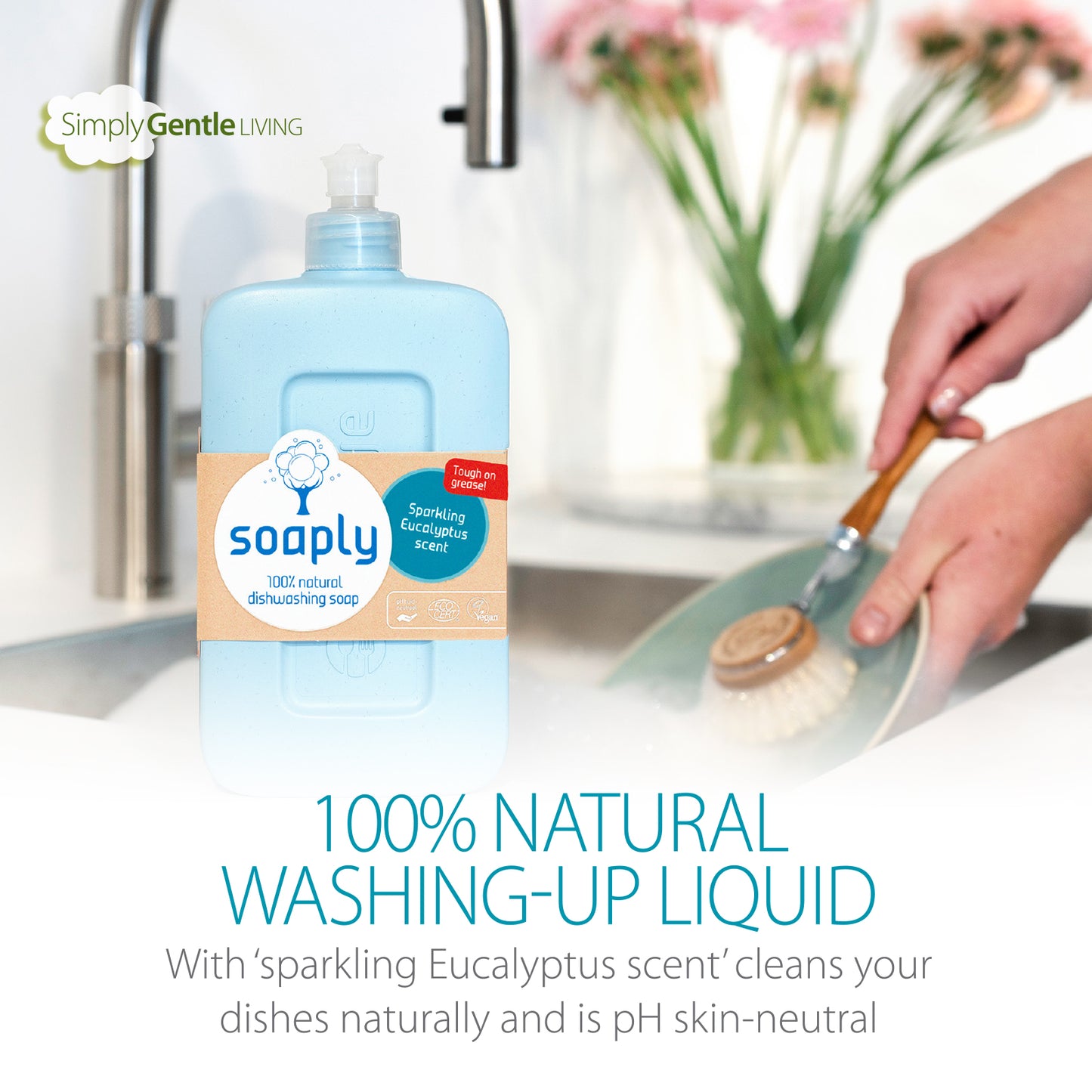 Soaply Dishwashing Soap Natural