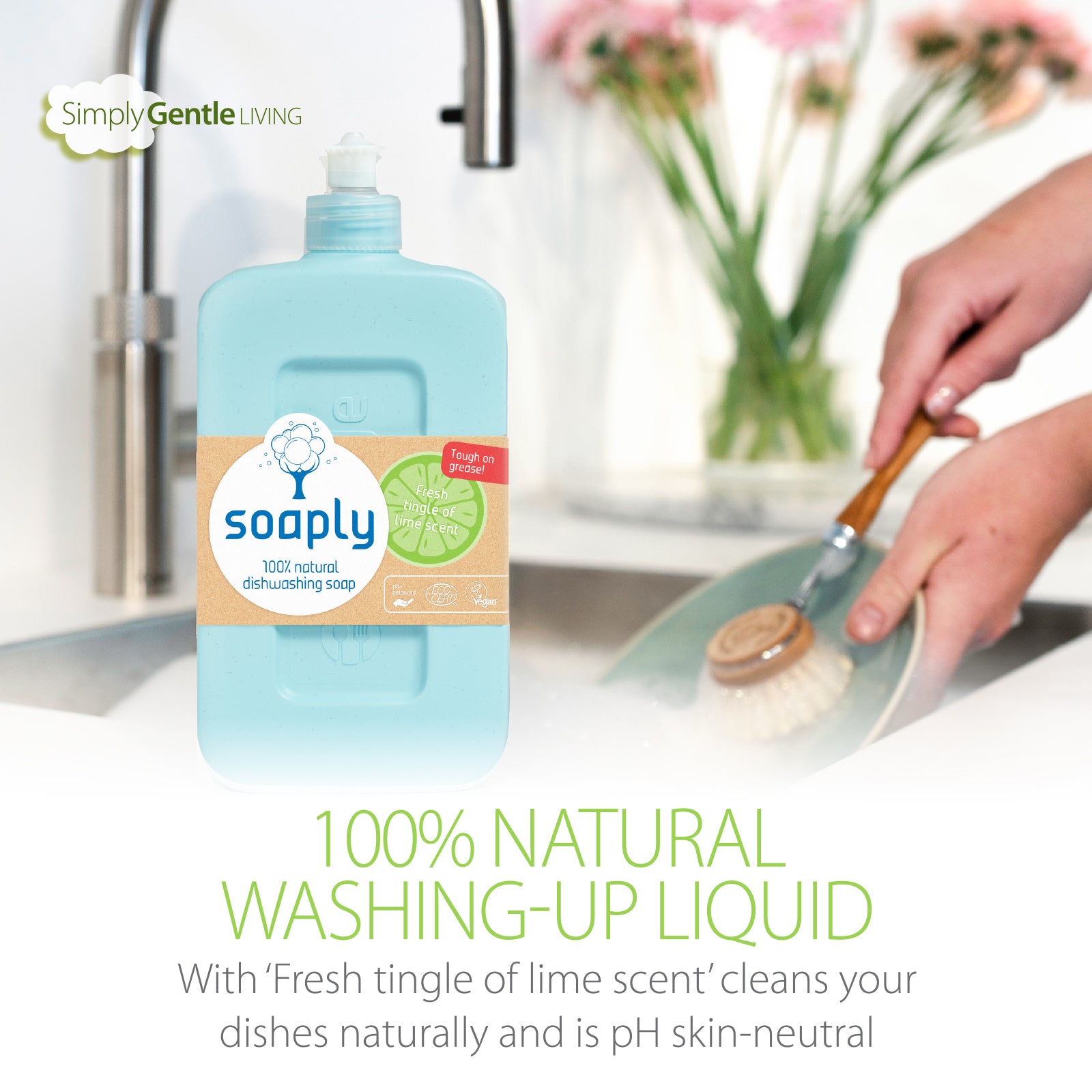Soaply Dishwashing Soap Natural